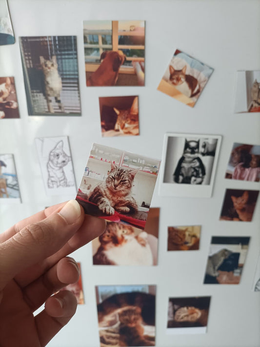 Íman Personalizado 5x5cm - Paws&Moments