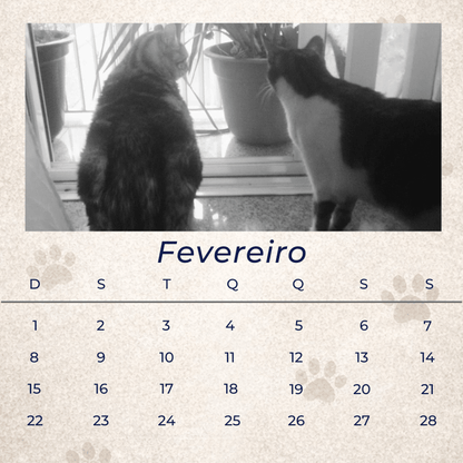 12 Memórias - Coleção Magnética - Paws&Moments