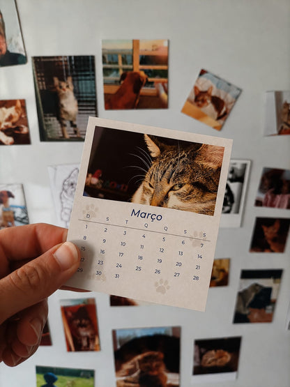 12 Memórias - Coleção Magnética - Paws&Moments