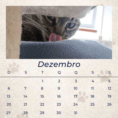 12 Memórias - Coleção Magnética - Paws&Moments