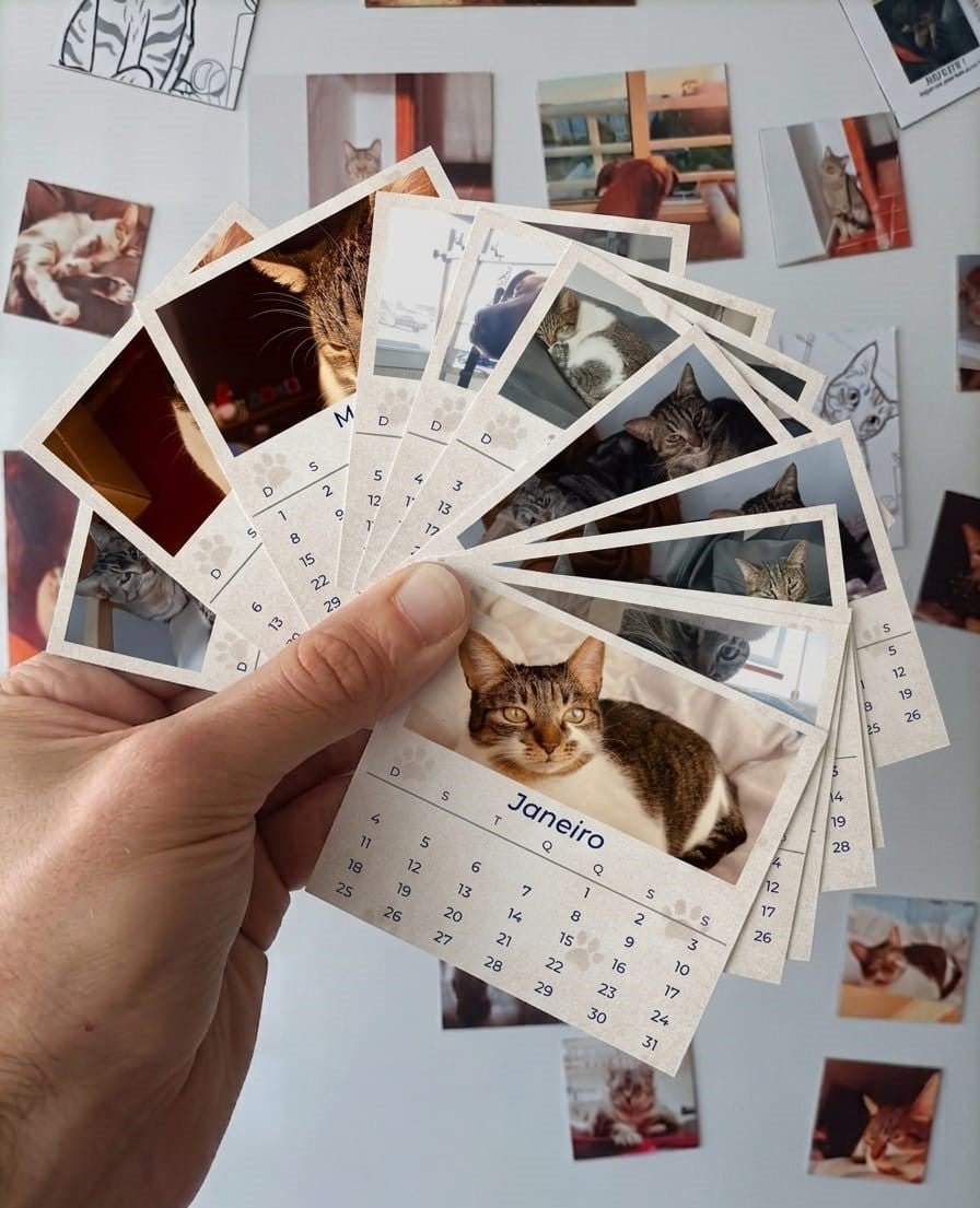 12 Memórias - Coleção Magnética - Paws&Moments