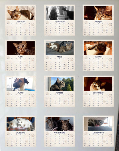 12 Memórias - Coleção Magnética - Paws&Moments