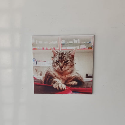 Íman Personalizado 5x5cm