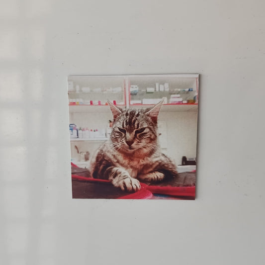 Íman Personalizado 5x5cm