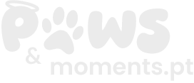 Paws&Moments