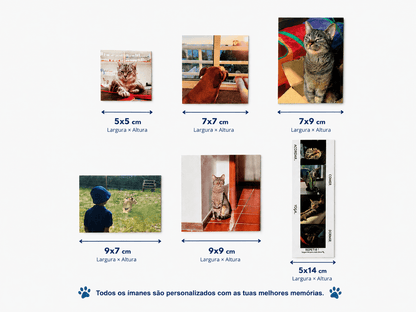 Coleção Surpresa - Paws&Moments