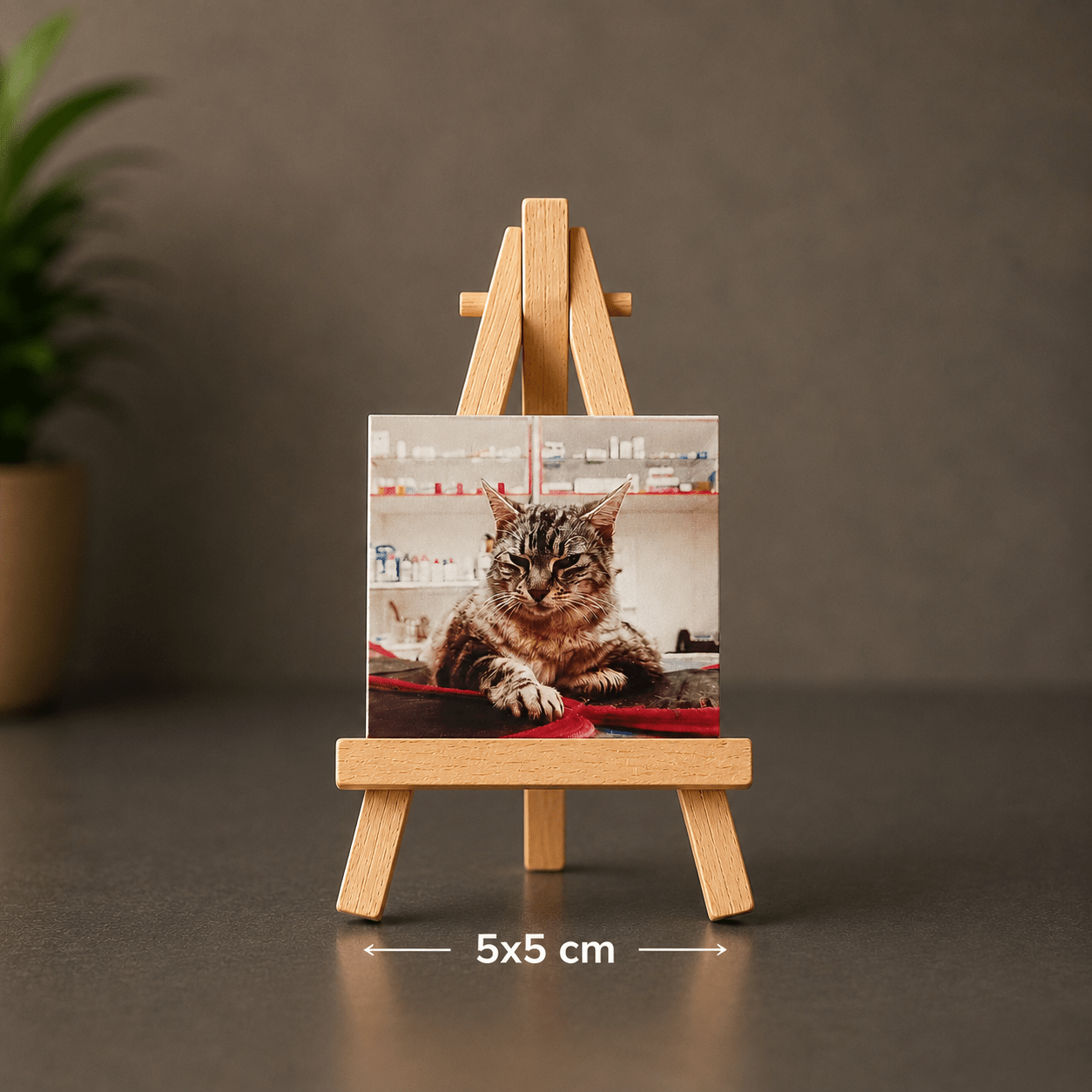 Íman Personalizado 5x5cm - Paws&Moments