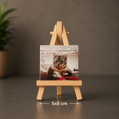 Íman Personalizado 5x5cm - Paws&Moments
