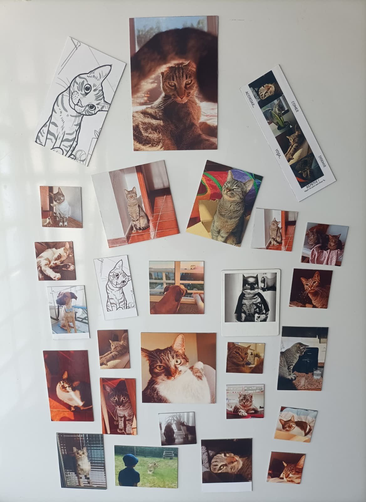 Íman Personalizado 5x5cm - Paws&Moments