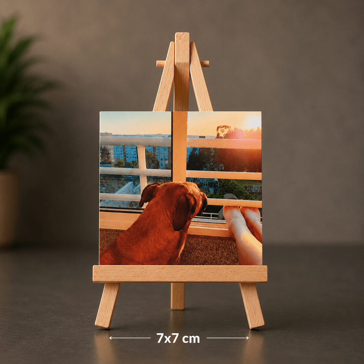 Íman Personalizado 7x7cm - Paws&Moments