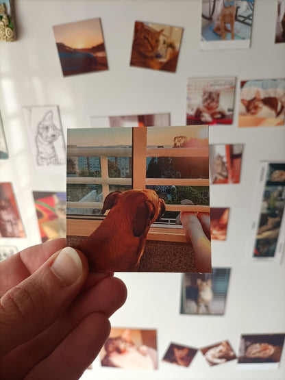 Íman Personalizado 7x7cm - Paws&Moments