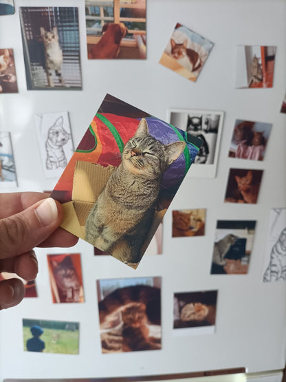 Íman Personalizado 7x9/9x7cm - Paws&Moments