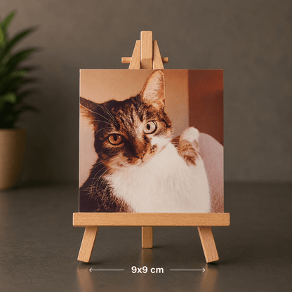 Íman Personalizado 9x9cm - Paws&Moments
