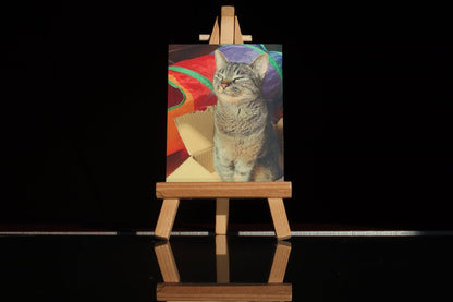 Tela Personalizada - Paws&Moments