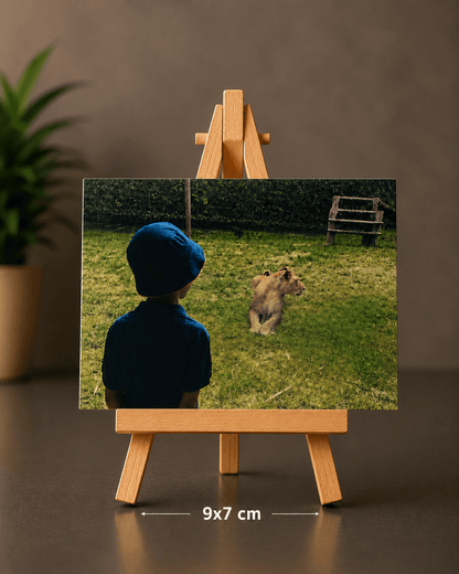 Tela Personalizada - Paws&Moments