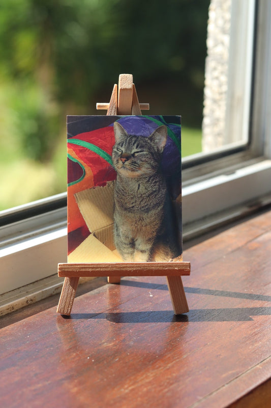 Tela Personalizada - Paws&Moments